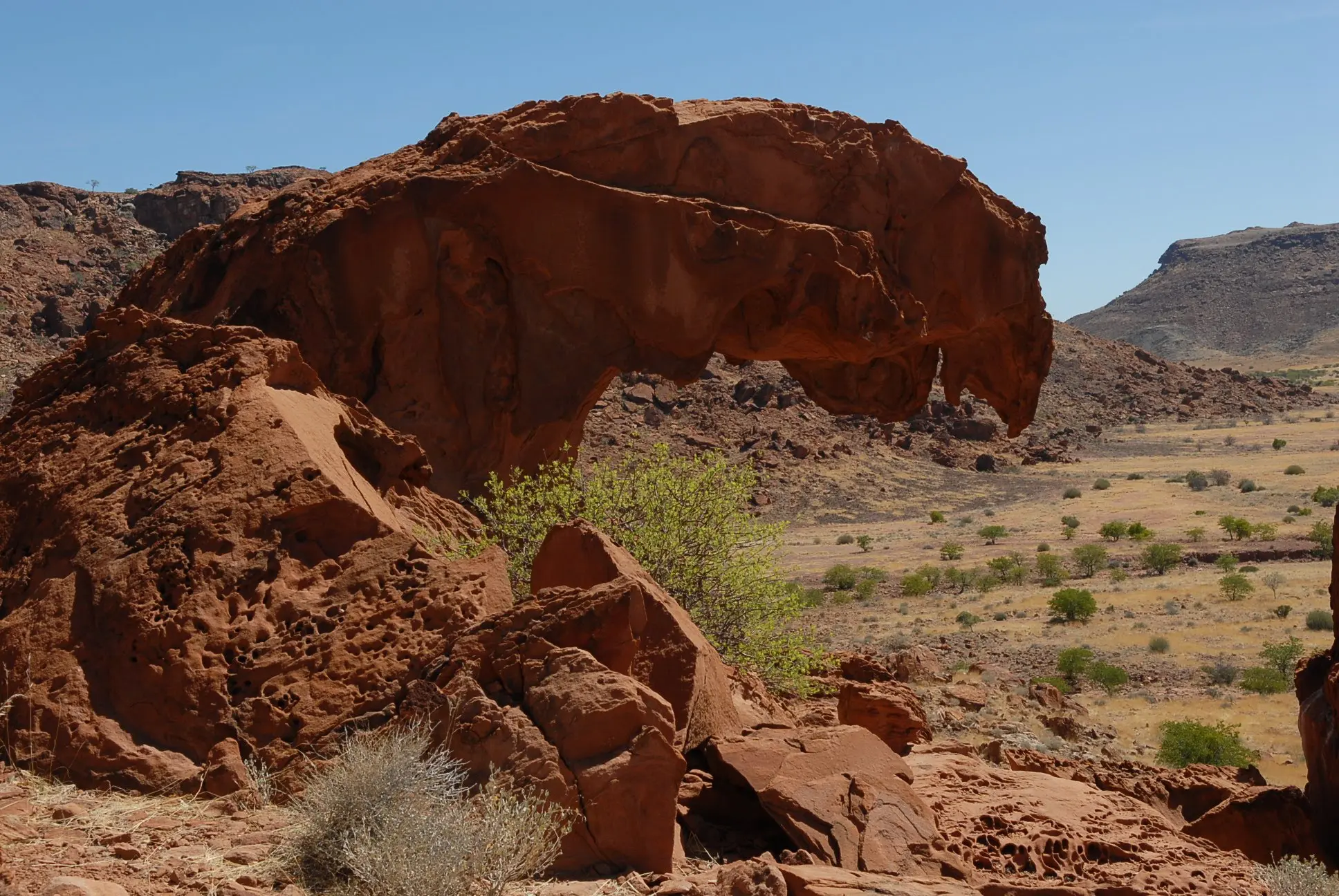 Een grote, roodbruine rotsformatie die op een dierenkop lijkt, strekt zich uit over een droog, rotsachtig landschap met schaarse groene struiken onder een helderblauwe hemel.