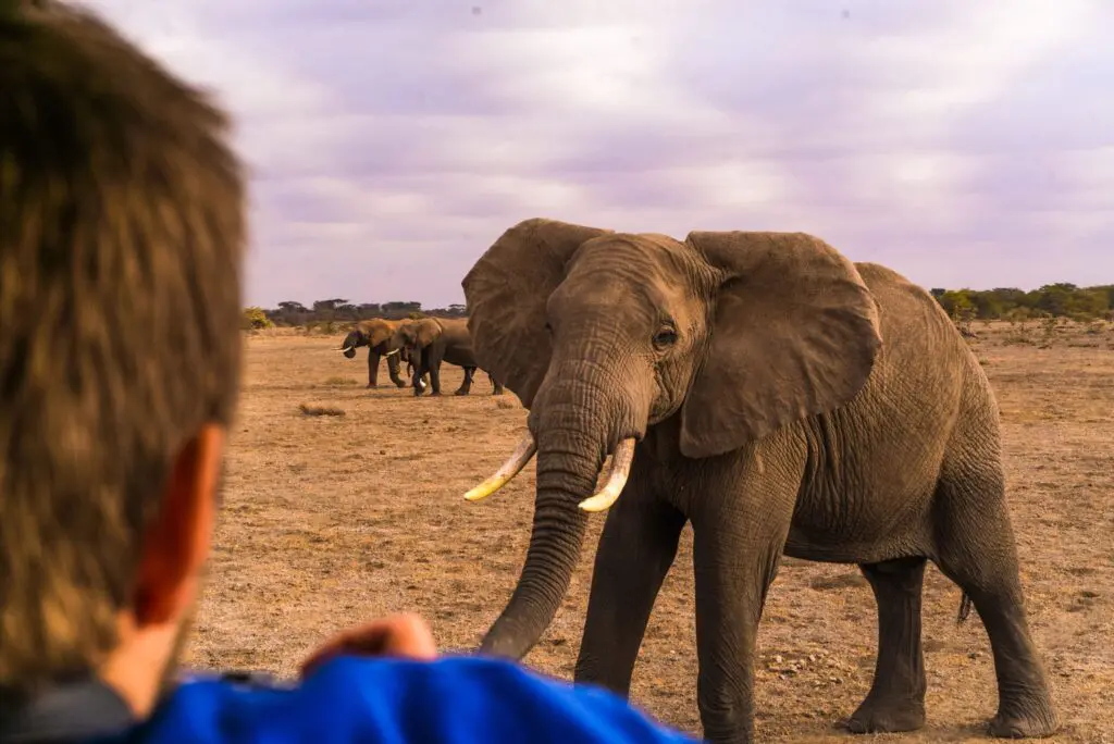 Tsavo East en Tsavo West National Park