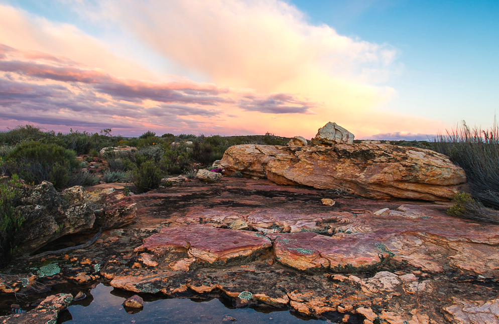 Rotspartij met verspreide struiken onder een dramatische zonsondergang met roze en oranje wolken. Lage vegetatie en stenen domineren het dorre landschap op de voorgrond.