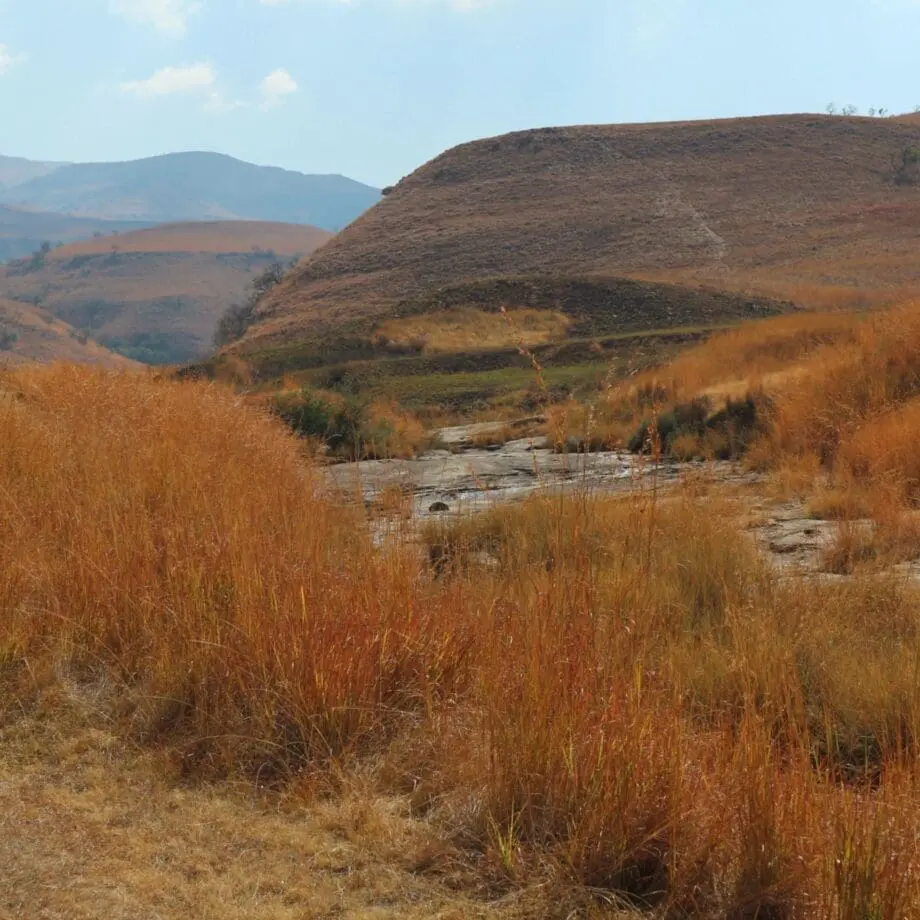 Een landschap met droog, goudbruin gras en glooiende heuvels roept de ruige schoonheid van Zuid Afrika op, met een rotsachtig beekje dat door het midden stroomt onder een gedeeltelijk bewolkte hemel op de achtergrond - perfect voor wie houdt van reizen in Afrika.