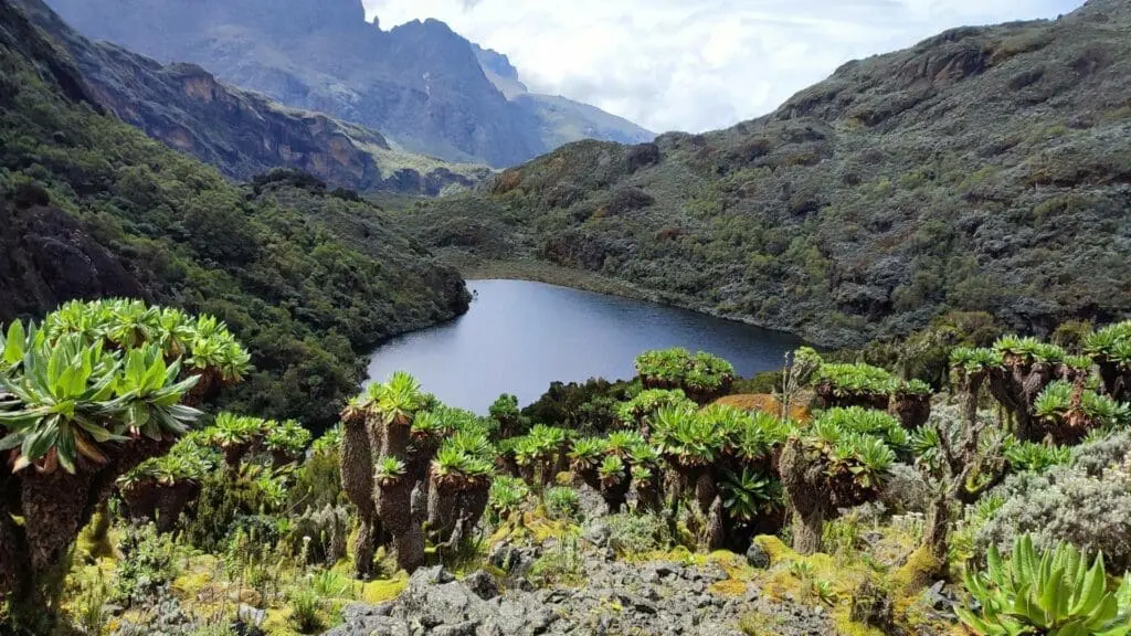 Rwenzori Mountains: Dé actieve Lustrumreis in Oeganda