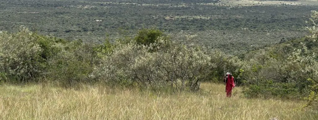 De Loita Hills