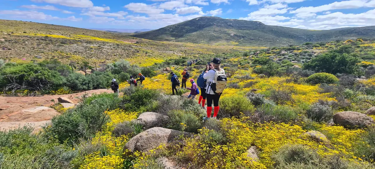 Eine Gruppe von Wanderern geht durch eine malerische Landschaft mit leuchtend gelben Wildblumen, umgeben von grünen Sträuchern und entfernten Hügeln unter einem blauen Himmel mit vereinzelten Wolken.