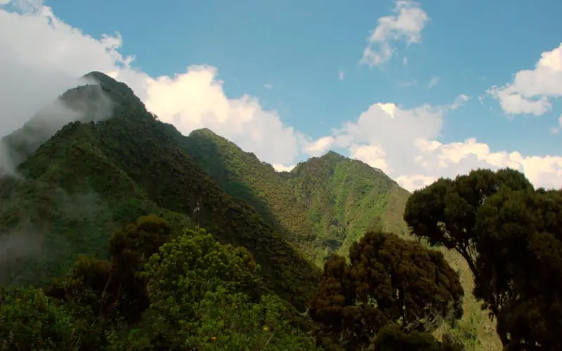 Lush green mountains covered in dense vegetation rise against a bright blue sky with scattered clouds. Trees and shrubs are visible in the foreground.