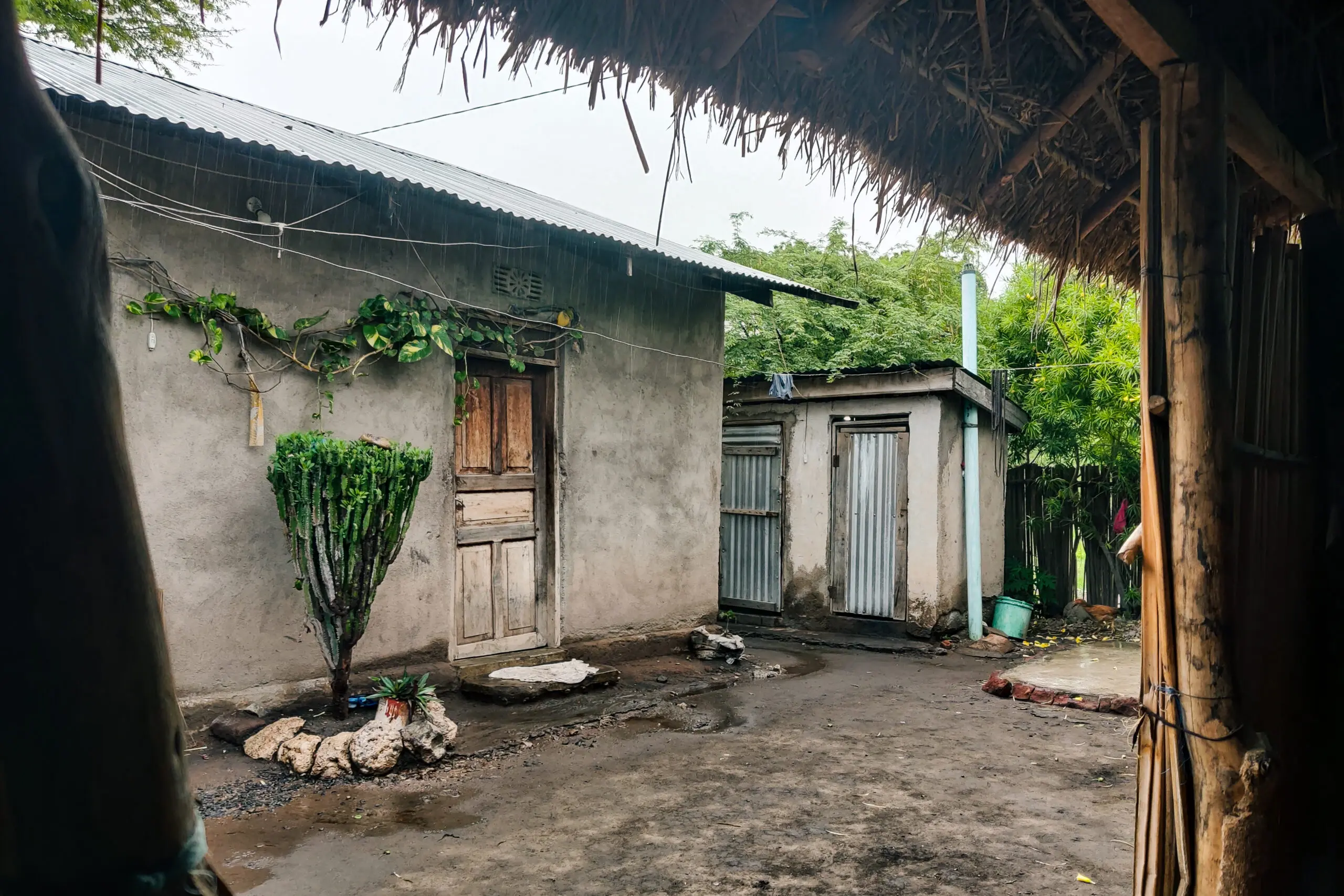 A view from under a thatched roof looking into a small, rustic courtyard with two weathered buildings, potted plants, and wet ground, surrounded by green trees and vegetation.