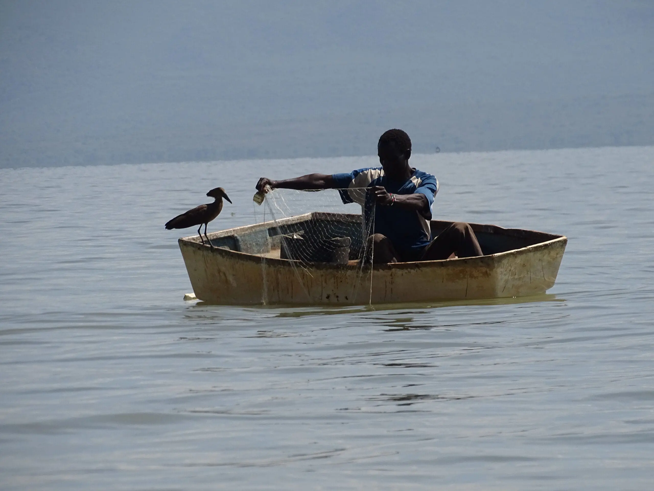 Een man zit in een kleine, verweerde boot op kalm water en haalt een visnet op. Een donkergekleurde vogel zit op de rand van de boot en kijkt naar wat de man doet. De bergen zijn vaag zichtbaar op de achtergrond.