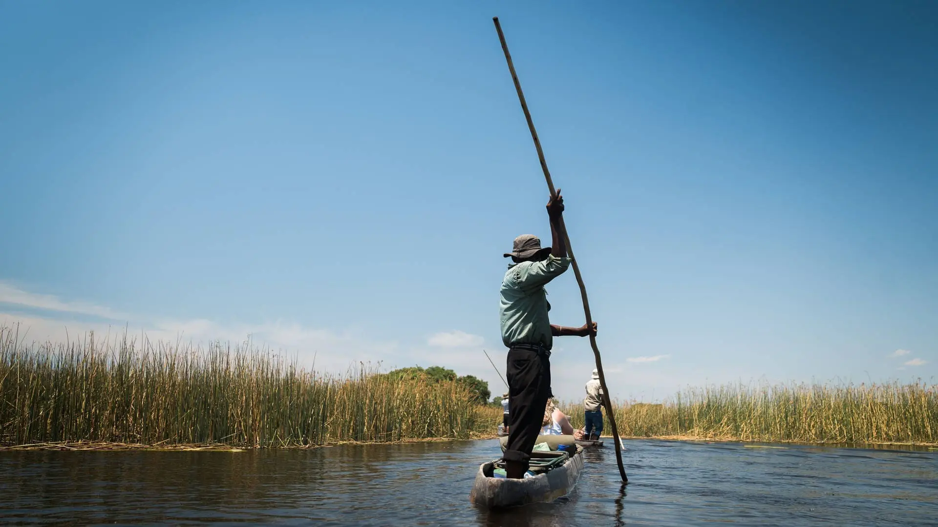 Botswana Highlights: wild camping, wildlife, and the Delta mokoro trip!