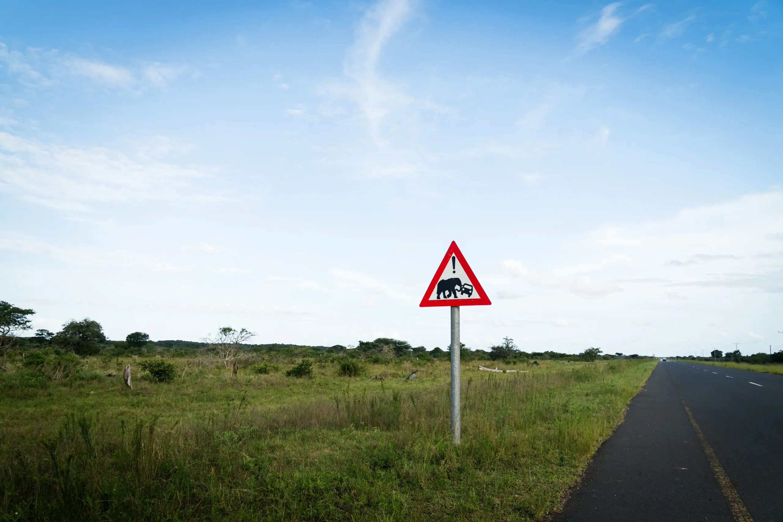 Een driehoekig verkeersbord dat waarschuwt voor mogelijk overstekend vee staat naast een lege landweg omzoomd door grasvelden, onder een blauwe lucht met verspreide wolken.