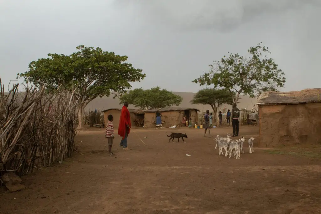 Een landelijke dorpsscène met mensen die bij lemen huizen staan, geiten die op een onverharde grond lopen, een hond en bomen die verspreid staan onder een bewolkte hemel. Een persoon in rode kleding staat bij een kind, met anderen op de achtergrond.