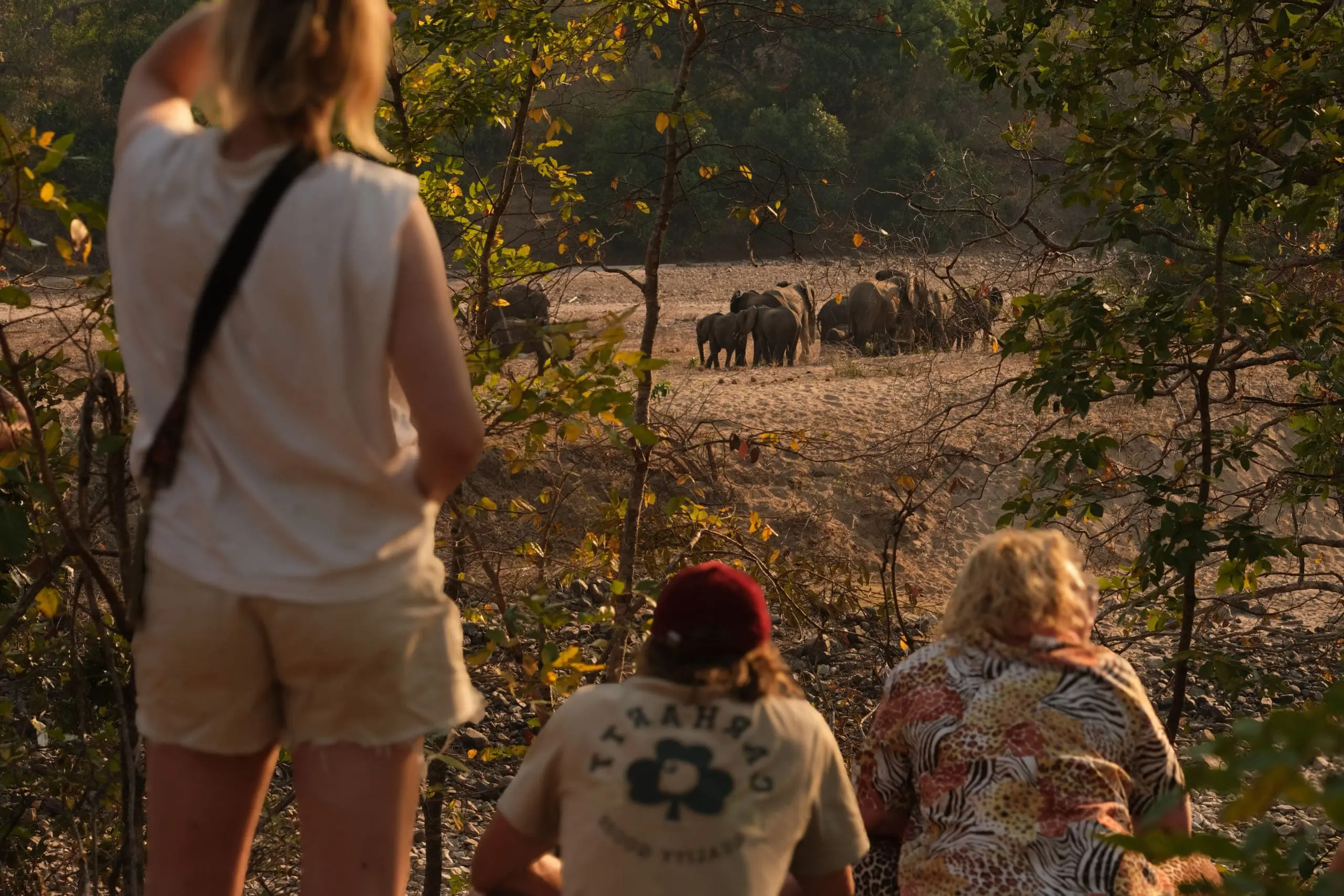 Rondreis Malawi: Alles over reizen in Malawi