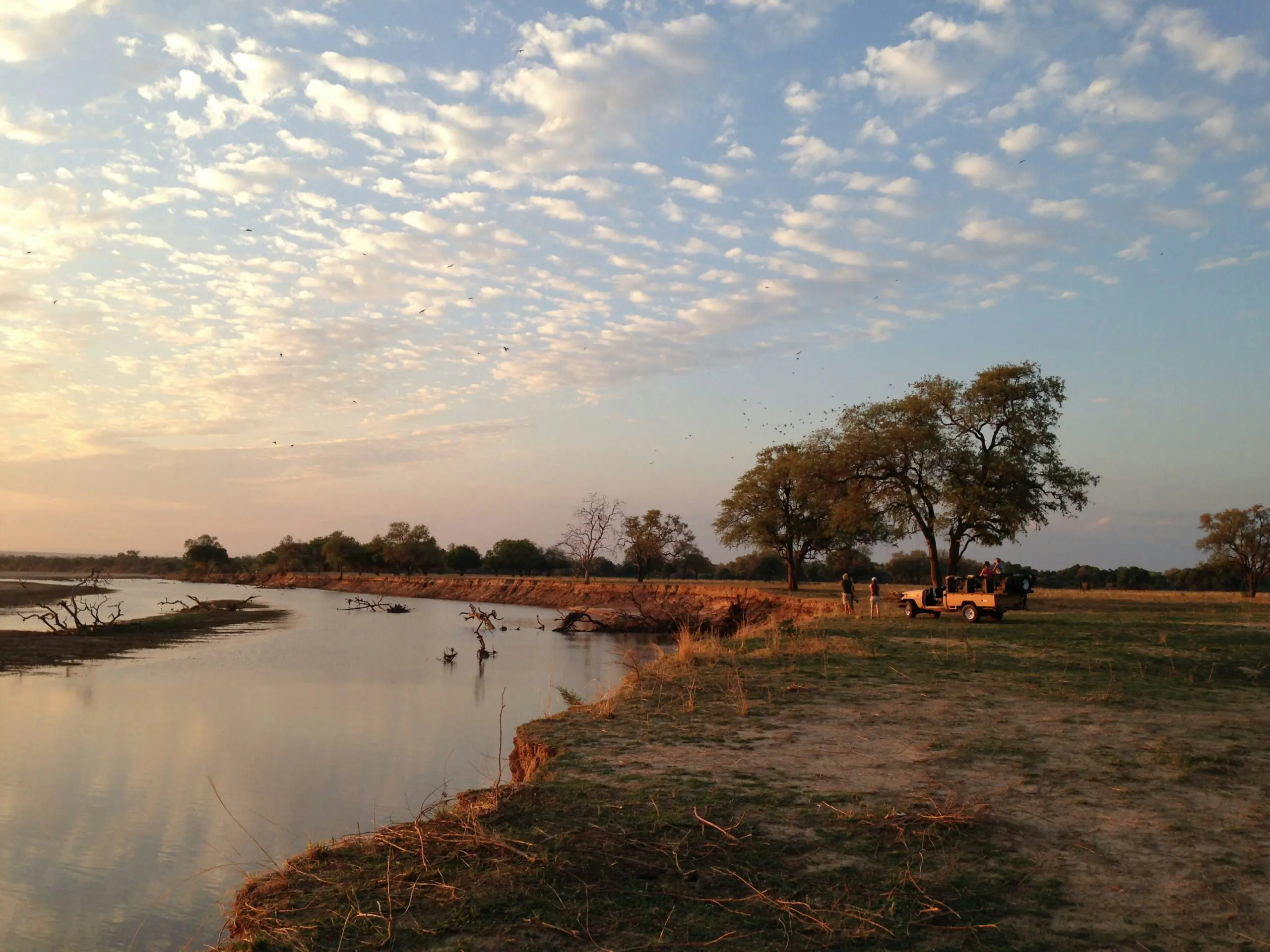 Een safarivoertuig met mensen geparkeerd onder bomen bij een rivieroever bij zonsondergang, met een wijde lucht vol verspreide wolken en overvliegende vogels. Het landschap is open, met gras begroeid en vredig.