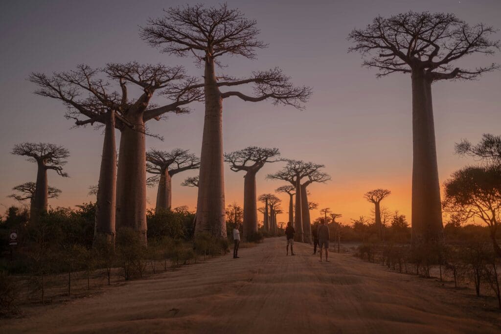 Rondreis Madagaskar