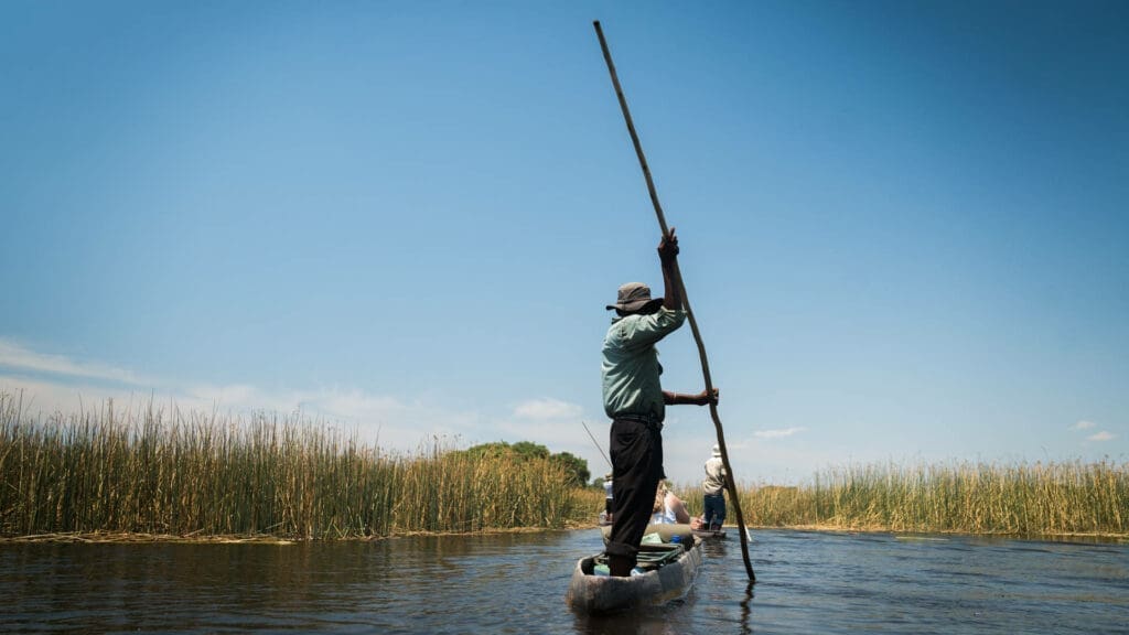 Een persoon staat op een smalle boot in Botswana en gebruikt een lange stok om door kalm water te varen, omringd door hoog gras onder een helderblauwe Afrikaanse lucht. Andere mensen zitten in de boot.
