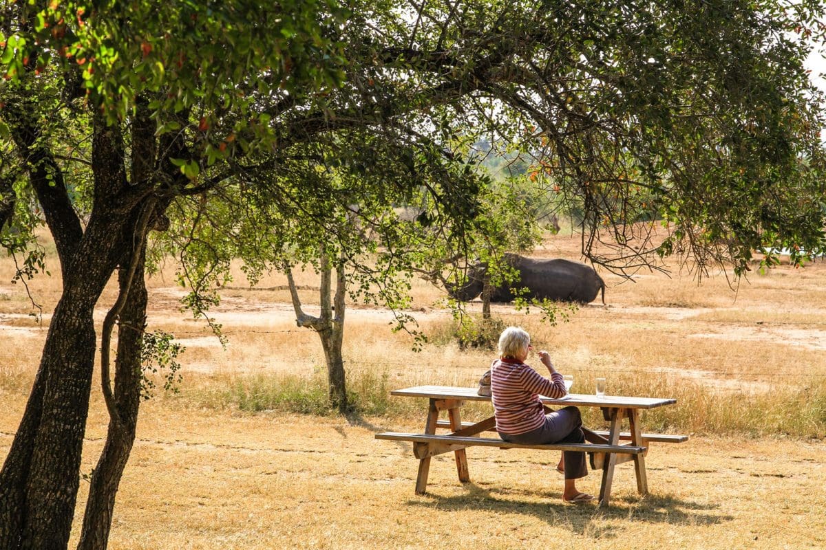 Een oudere vrouw zit alleen aan een picknicktafel onder een lommerrijke boom en kijkt naar een grote buffel die rust in een droog grasveld op de achtergrond.