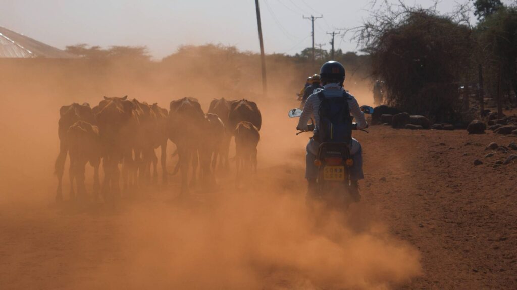 Enduimet Conservancy