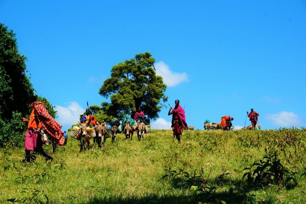 kleurrijke Masai karavaan met ezels trekt door groen heuvelgebied in Kenia