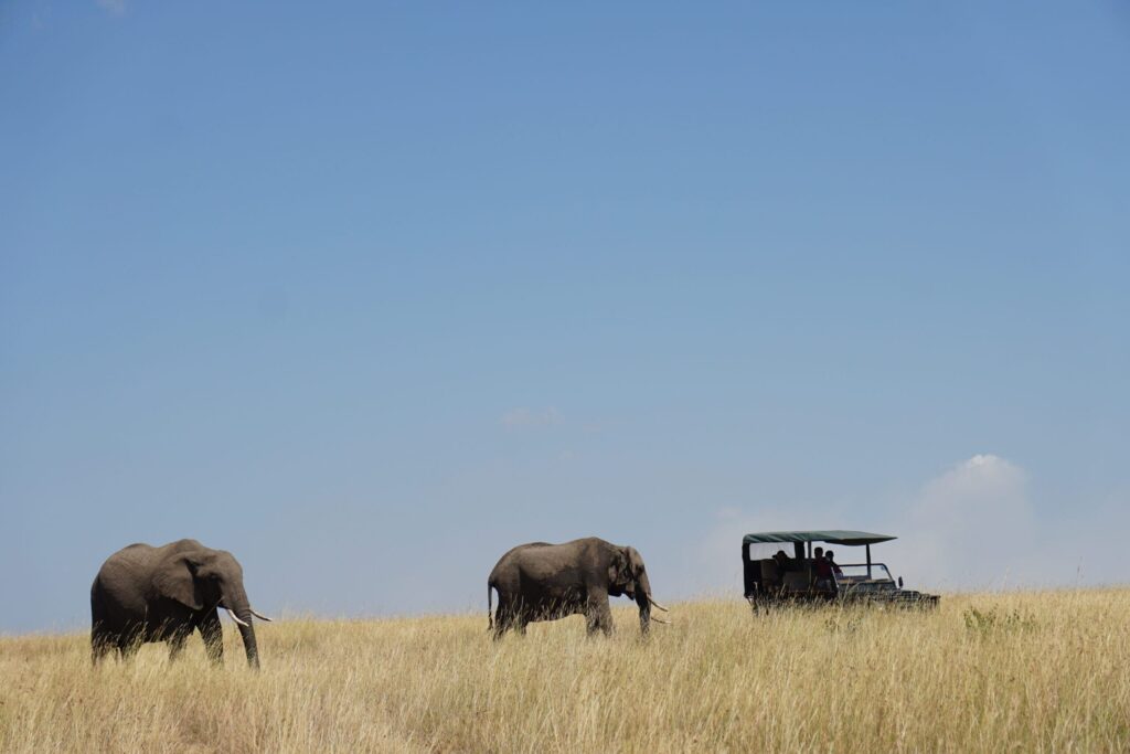 Kenya Travel Update – Planned Protest in Nairobi (25 June 2025)