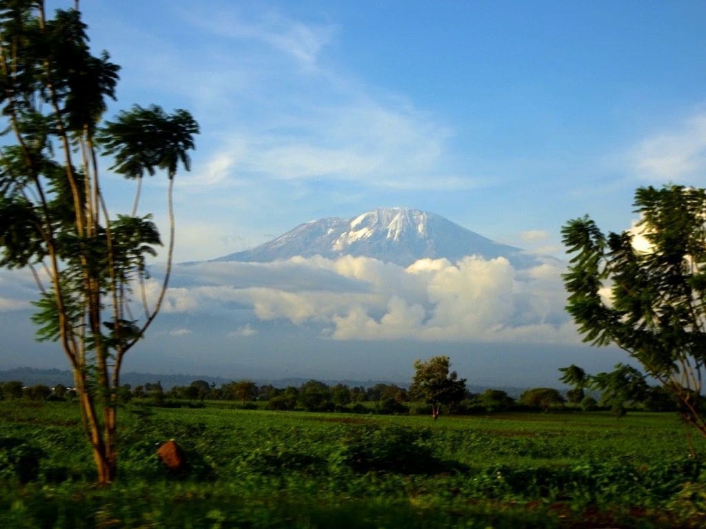 Kilimanjaro