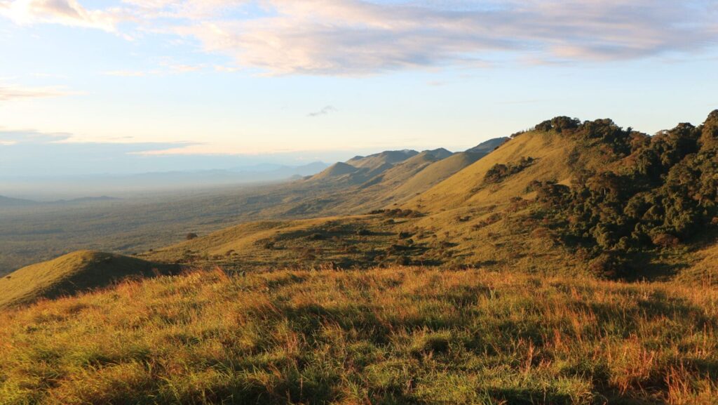 Max's travel story: Ali, the KWS Ranger with a Dream