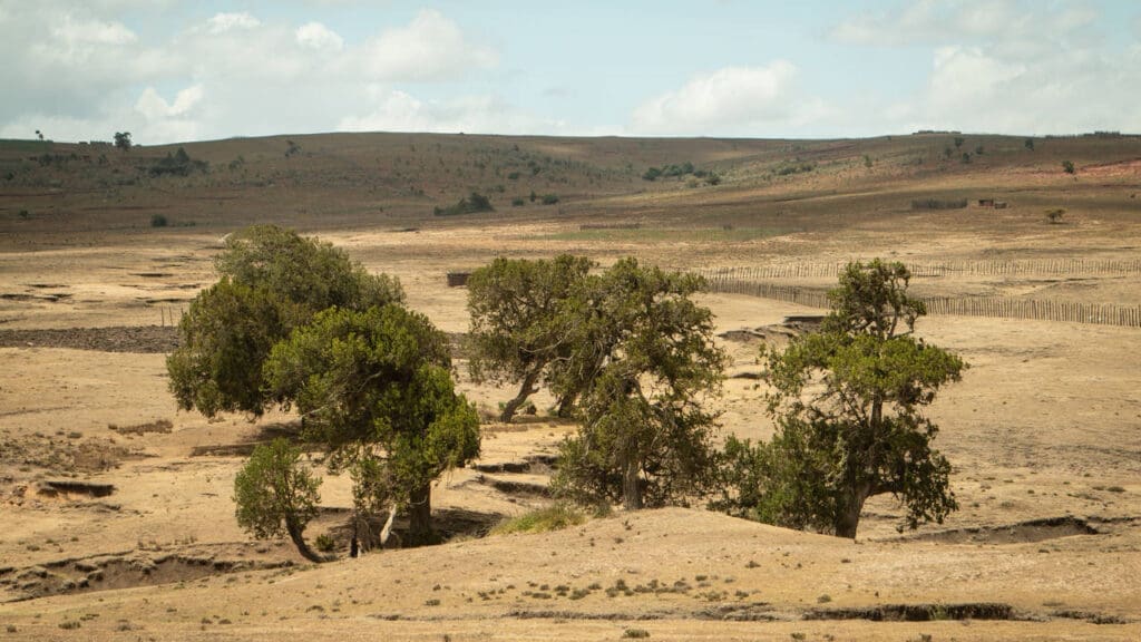 Kenya's bush to beach adventure