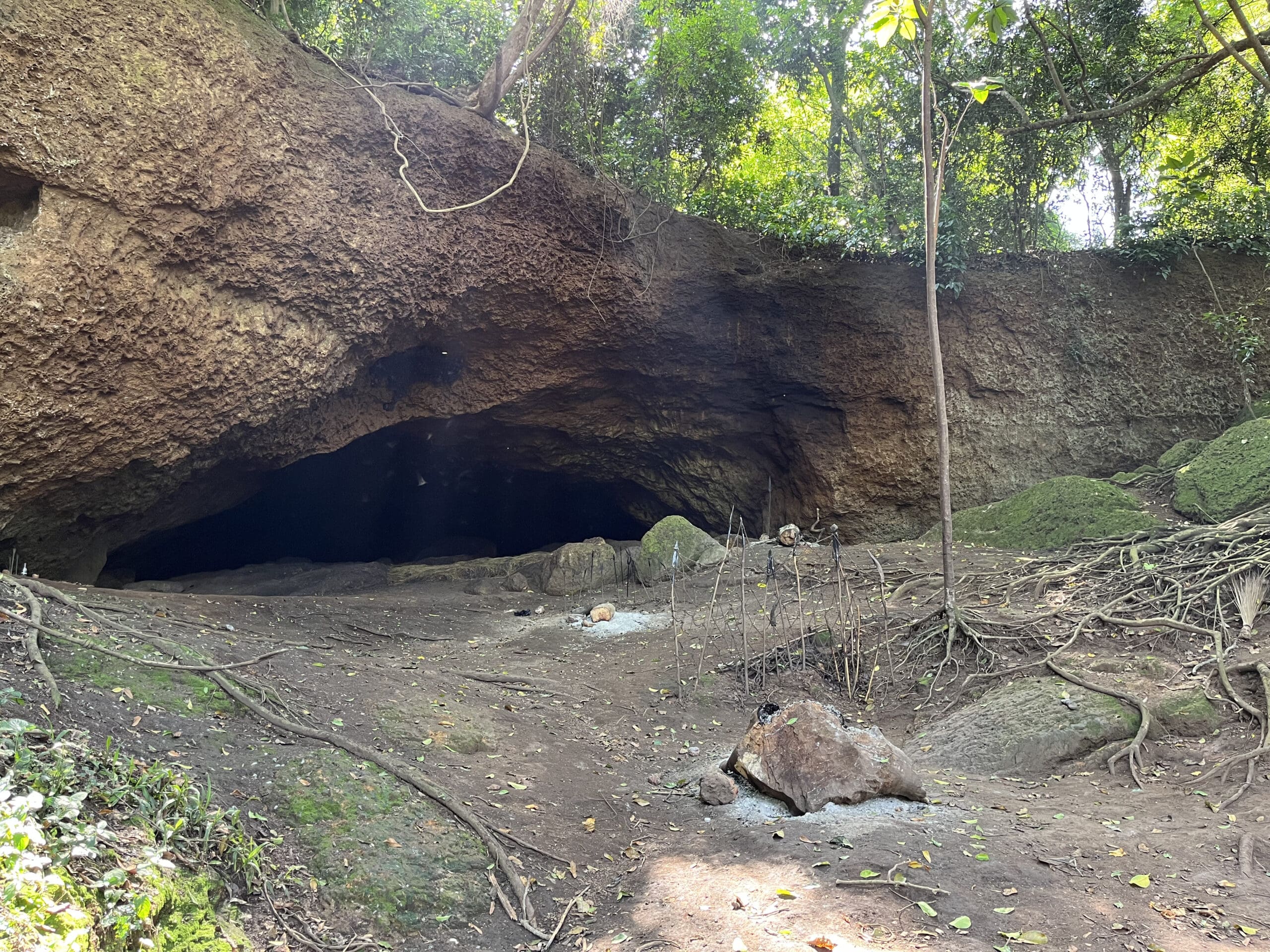 Een grote, rotsachtige grotingang omringd door bomen en wortels, met zonlicht dat door de bladeren filtert en verspreide rotsen op de grond buiten - een verborgen juweeltje voor reizen in Afrika, dat doet denken aan de natuurwonderen van Oeganda.