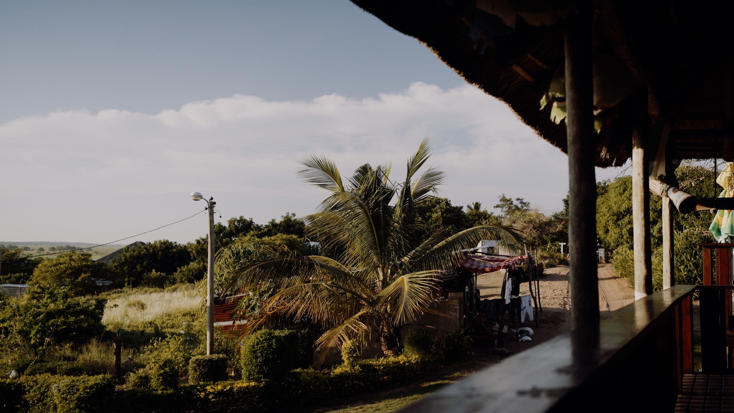 Een palmboom staat in een zonovergoten tuin in Mozambique, omringd door groen. Er is een waslijn met wasgoed en een zandpad dat langs kleine structuren leidt, allemaal gedeeltelijk omlijst door de rand van een houten gebouw - een beeld van het dagelijks leven in Afrika.