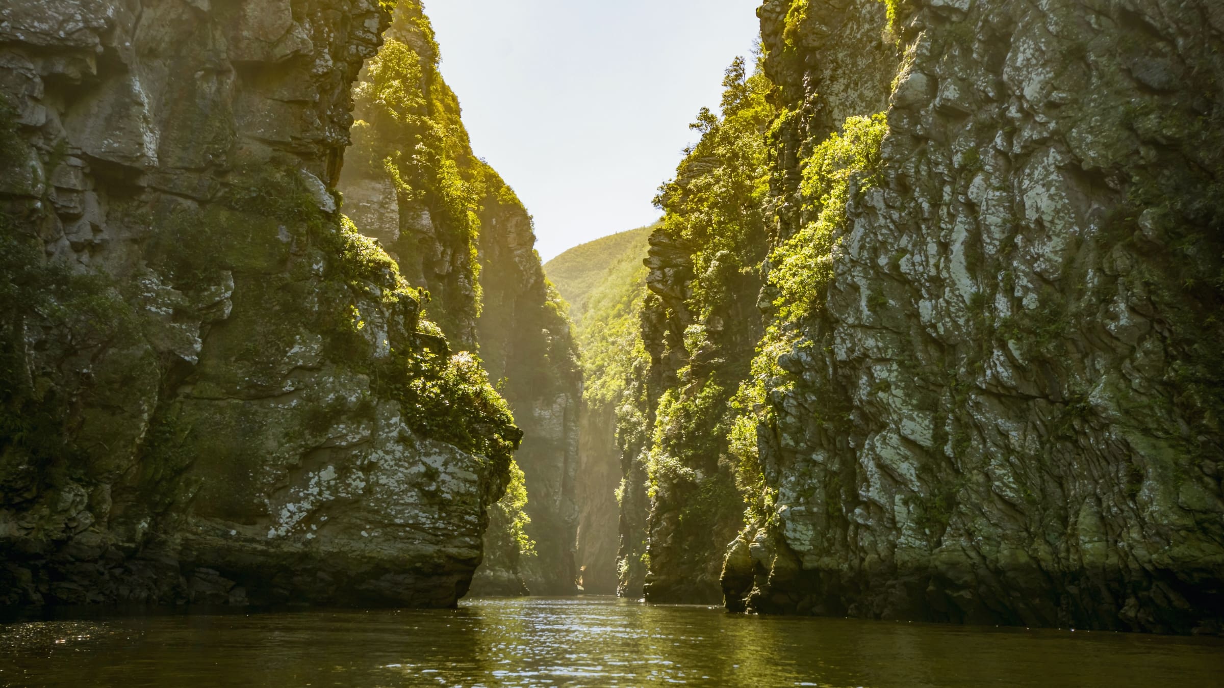 Een smalle rivier stroomt tussen hoge, steile kliffen bedekt met groene vegetatie, met zonlicht dat het rotsachtige landschap verlicht en een heldere hemel erboven - een betoverend uitzicht voor reizigers die de schoonheid van Zuid Afrika verkennen.