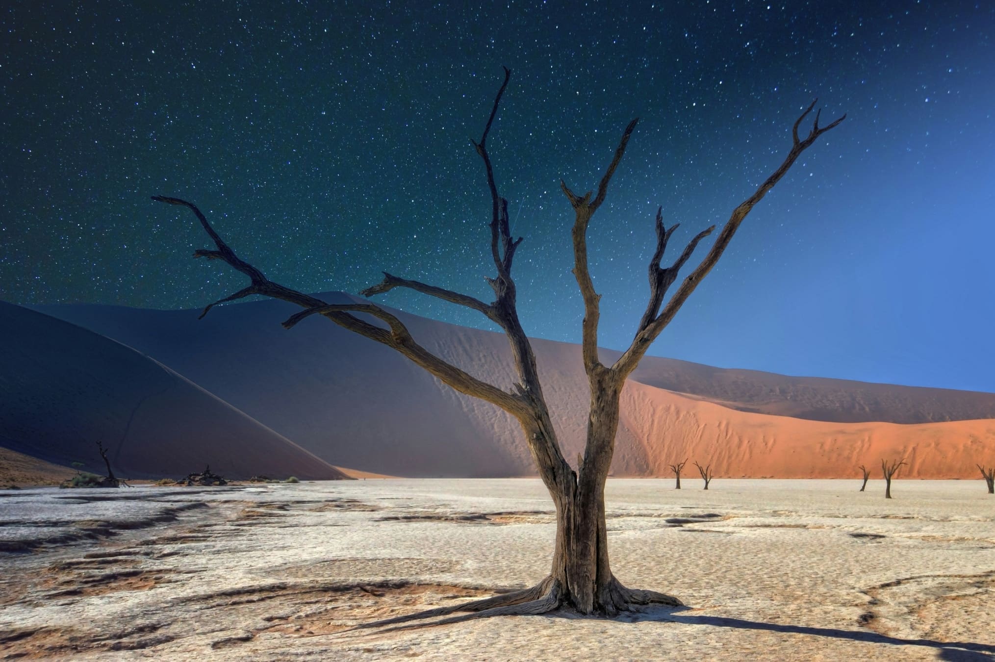 Ein blattloser Baum steht allein auf rissigem, trockenem Boden unter einem sternenübersäten Nachthimmel, während im Hintergrund die fernen Sanddünen schwach beleuchtet sind.
