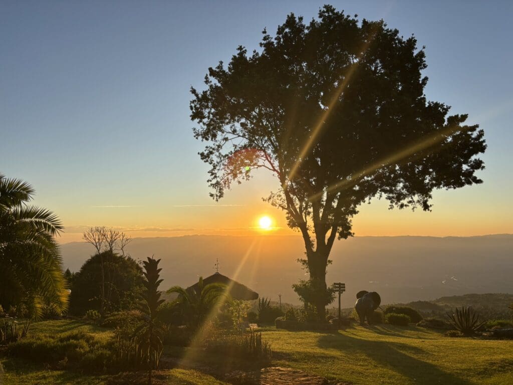 Een grote boom staat op een grasheuvel bij zonsondergang, de zon schijnt door de takken. De lucht is helder en het landschap beneden vervaagt in de verte. Silhouetten van planten en een persoon zijn zichtbaar op de voorgrond.