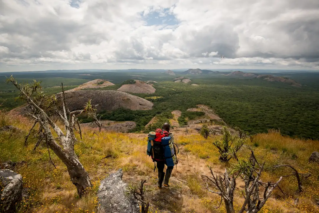 Wild und unberührt: Warum eine Safari in Sambia die perfekte Alternative zu überlaufenen Gebieten ist