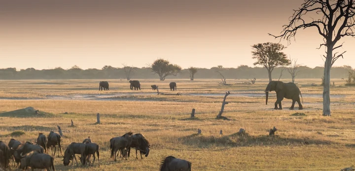 Rondreis self-drive in Zambia en Zimbabwe in 3 weken