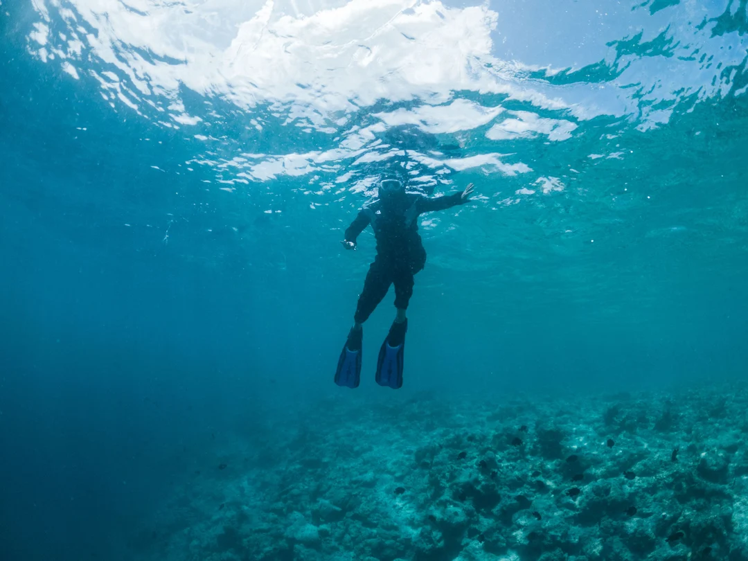 Iemand met een snorkeluitrusting en blauwe zwemvliezen zwemt vlak onder het wateroppervlak over een rotsachtige zeebodem, omringd door helderblauw water.