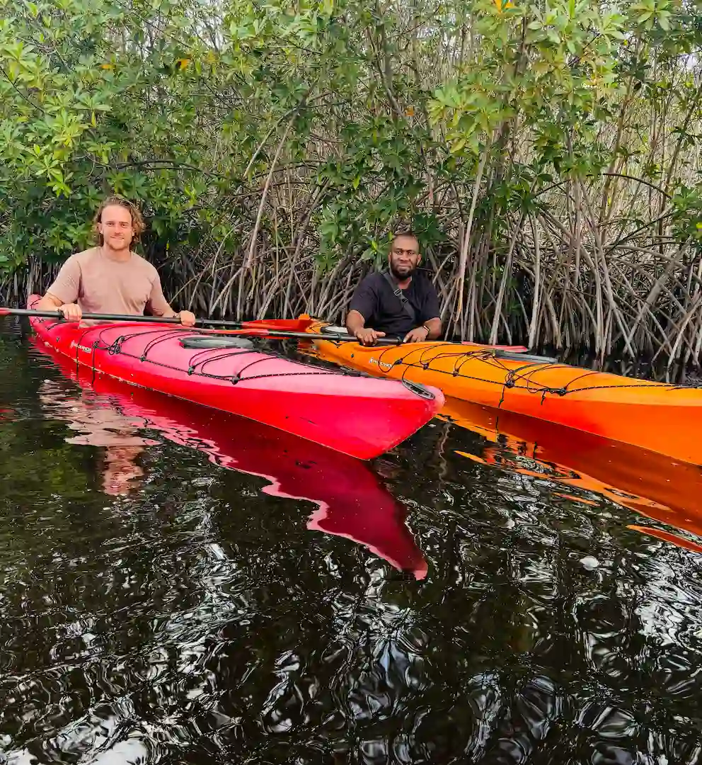 Twee mensen peddelen in een kajak door rustig water langs dichte mangrovebomen. De ene zit in een rode kajak, de andere in een oranje kajak. Beiden kijken vooruit en worden omringd door weelderig groen dat in het water weerspiegelt.