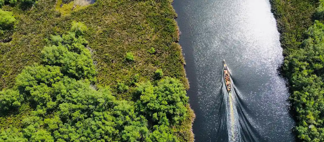 Een luchtfoto van een smalle boot die door een rivier vaart, omringd door weelderige groene begroeiing.