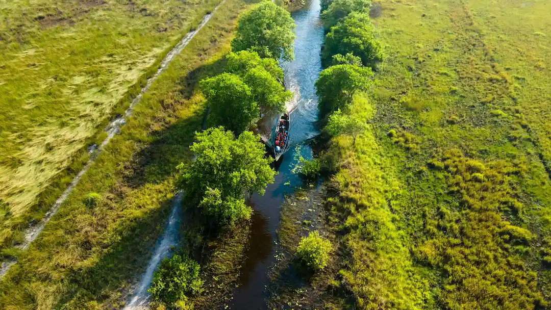 Luchtfoto van een smalle boot die passagiers vervoert door een kanaal, omringd door bomen en groene moerasgebieden.