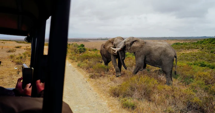 Hwange National Park